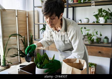 Ein Gärtner pflegt liebevoll ihre lebendigen Pflanzen in einem gemütlichen Atelier. Stockfoto