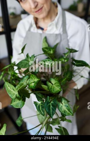 Ein Gärtner pflegt sorgfältig ihre blühenden Pflanzen mit Liebe. Stockfoto