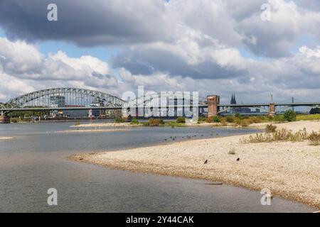 Rheinhöhe am 13. September 2024 bei 247 cm, Rheinufer in Köln-Poll, Blick auf die Südbrücke, im Hintergrund der Rheinauer Hafen Stockfoto