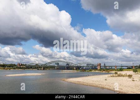 Rheinhöhe am 13. September 2024 bei 247 cm, Rheinufer in Köln-Poll, Blick auf die Südbrücke, im Hintergrund der Rheinauer Hafen Stockfoto