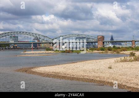 Rheinhöhe am 13. September 2024 bei 247 cm, Rheinufer in Köln-Poll, Blick auf die Südbrücke, im Hintergrund der Rheinauer Hafen Stockfoto