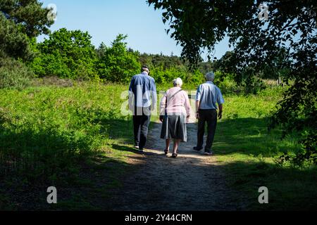 Öffentlicher Fußweg Sutton Heath Suffolk UK Stockfoto