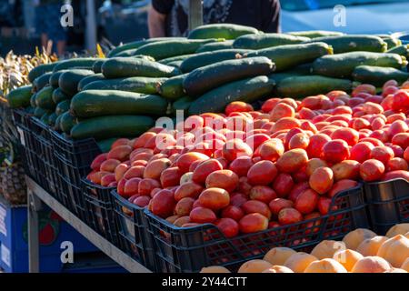 Verschiedene Obst- und Gemüsesorten werden auf einem beliebten Markt ausgestellt. Von Melonen, Pfirsichen oder Mangos bis hin zu Knoblauch oder Zwiebeln Stockfoto