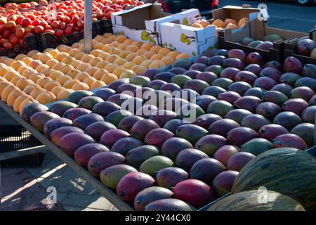 Verschiedene Obst- und Gemüsesorten werden auf einem beliebten Markt ausgestellt. Von Melonen, Pfirsichen oder Mangos bis hin zu Knoblauch oder Zwiebeln Stockfoto