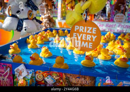 Ein Entenfest-Festspiel aus nächster Nähe. Preis jedes Mal unterschreiben. Stockfoto