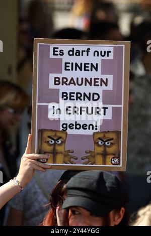 CHRISTOPHER STREET DAY 2024 - Erfurt - CSD - morgens 7. September 2024 zieht der CSD mit mehreren tausend Teilnehmern unter dem Motto für ein buntes Erfurt C keinen Schritt zurück in Erfurt durch die Innenstadt. Er ist der CSD mit der längsten Tradition in Thüringen und eine Demonstration gegen Diskriminierung und für Gleichstellung, Akzeptanz und Toleranz. Das CSD Erfurt Bündnis setzt sich seit Jahren für die Akzeptanz queerer Menschen innerhalb von Erfurt ein. Demoschild: Es darf nur EINEN BRAUNEN BERND in ERFURT geben - Aufkleber: FCK NZS - KEIN BOCK auf NAZIS Abbildung: Geballte Faust - Anspi Stockfoto