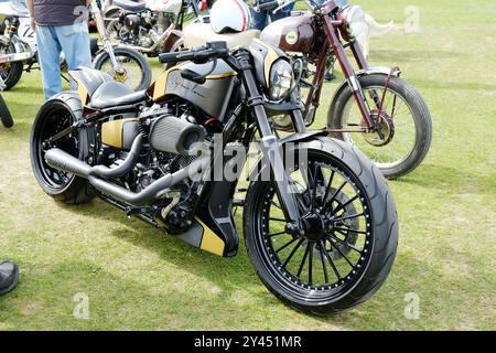 Harley Davidson mit einem schreienden Eagle-Bekehrung - John Gollop Stockfoto