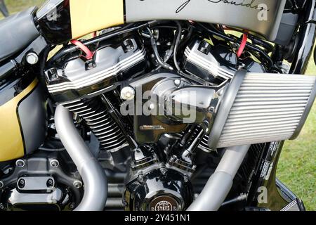 Harley Davidson mit einem schreienden Eagle-Bekehrung - John Gollop Stockfoto