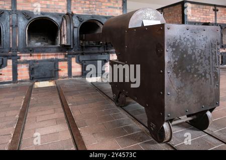 Verbrennungsanlage der Firma Topf und Söhne in den Krematorien des Konzentrationslagers Buchenwald, um in kurzer Zeit eine große Anzahl von Leichen zu verbrennen Stockfoto