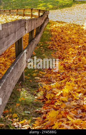 Fallende Blätter auf dem Boden entlang eines Holzzauns Stockfoto