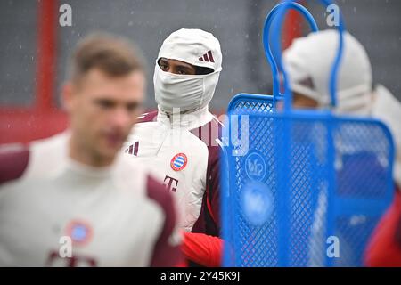 München, Deutschland. September 2024. Jamal MUSIALA (FC Bayern München) schützt sich vor starkem Regen, bedecktem Abschlusstraining, Training am 16. September 2024 Fußball Champions League, FC Bayern München - GNK Dinamo Zagreb? Quelle: dpa/Alamy Live News Stockfoto