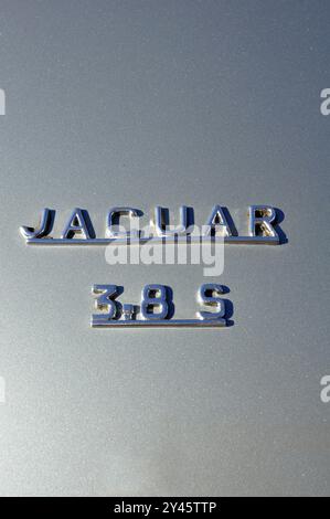 Jaguar Auto Stockfoto