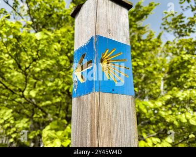 Das Schild mit der Muschel zeigt in Richtung des Camino-Weges Stockfoto