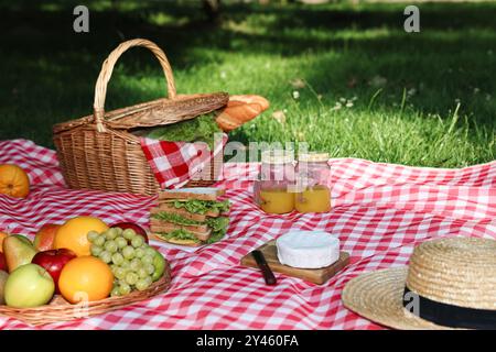 Picknick-Korb mit köstlichen Speisen, Getränken und Geschirr auf karierter Decke im Freien Stockfoto