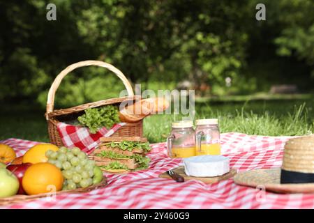 Picknick-Korb mit köstlichen Speisen, Getränken und Geschirr auf karierter Decke im Freien Stockfoto