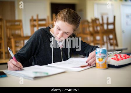 t Klokhuis Student an der Schule für niederländische Sprache und Kultur, die an der Arbeit an der Hausaufgabe arbeitet. Harrison, New York, USA. Harrison 181 Harrison Avenue New York Vereinigte Staaten von Amerika Copyright: XGuidoxKoppesxPhotox Stockfoto