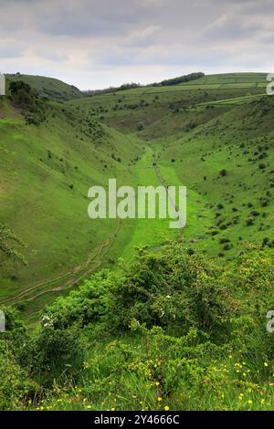 Sommerblick durch Cressbrook Dale, in der Nähe von Tideswell Village, Derbyshire, Peak District National Park, England, Großbritannien Stockfoto