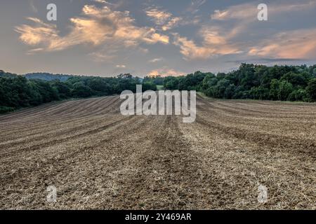 Gepflügtes Feld unter dem Wald bei Sonnenuntergang, ländliche Sommerlandschaft. Bunte Wolken am blauen Himmel. Landwirtschaftliche Fläche, Chocholna, Slowakei Stockfoto