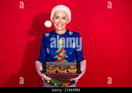 Foto der netten alten Frau halten frisch gebackene Brötchen tragen weihnachtspullover isoliert auf hellrotem Hintergrund Stockfoto
