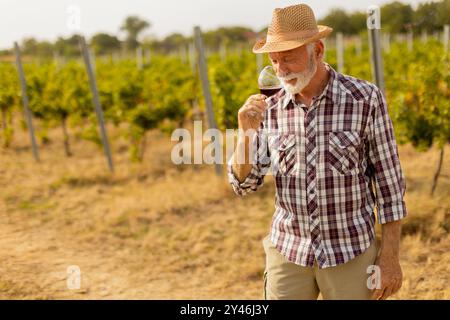 Im goldenen Glanz des Sonnenuntergangs genießt ein älterer Mann mit Strohhut ein Glas Rotwein, eingetaucht in die ruhige Schönheit seines weitläufigen Weinbergs Stockfoto