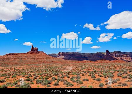 Die Schotterstraße schlängelt sich über den gesäumten Talboden in Richtung Lady in the Bathtub butte in Utahs Valley of the Gods Stockfoto