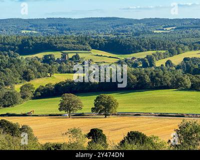Newlands Corner, Guildford. September 2024. Ein wunderschöner warmer und sonniger Tag für die Home Counties heute. Die Aussicht von Newlands Corner, auf den North Downs, Blick nach Süden von Guildford in Surrey. Quelle: james jagger/Alamy Live News Stockfoto