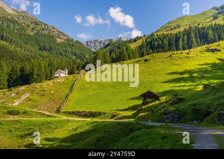 Malerische Alpenlandschaft. Grüne Hänge. Almwiesen bedeckt mit grünem, üppigem Gras. Hohe Wälder. Wunderschöne Berge. Einfamilienhäuser. Grossglo Stockfoto