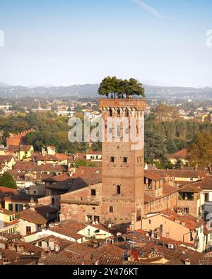 Lucca aus der Vogelperspektive auf die Stadt und den mittelalterlichen Guinigi-Turm und seine Bäume auf der Spitze. Toskana, Italien, Europa. Stockfoto