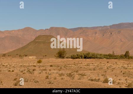 Das Tata-Tal und die Berber Ksars, alte befestigte Dörfer, die heute verlassen wurden, monumentale Festungen, die in der präsaharischen Wüste stehen. Stockfoto