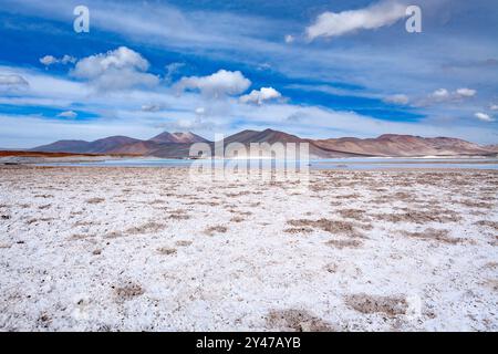 Salar de Aguas Calientes (Spanisch für warmes Wasser Salz See) und die Lagune in den Anden Altiplano (Hochebene) über 4000 Meter über dem Meeresspiegel, Los Stockfoto