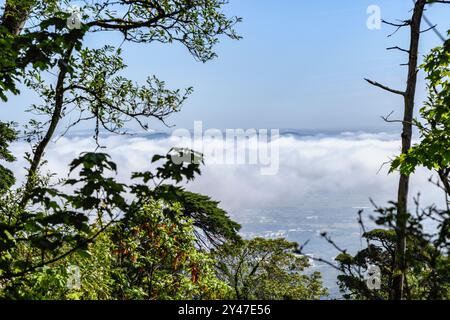 Luftaufnahme der Umgebung des Pena-Palastes mit vielen Wolken Zweigen und Blättern von Bäumen, die das Bild in der Stadt Sintra, Portugal, einrahmen. Stockfoto