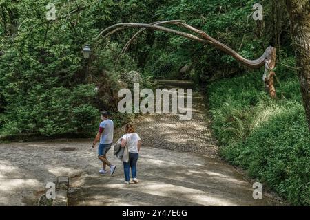 Ein paar Frauen und Männer, die durch den Park des Palastes von Pena gehen, ein Weltkulturerbe, Sintra, Portugal, Europa Stockfoto