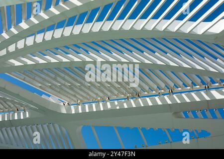 Museum von morgen, Rio de Janeiro, Brasilien. Deckendetail. Das Gebäude wurde von dem spanischen Architekten Santiago Calatrava entworfen und 2015 errichtet. Stockfoto