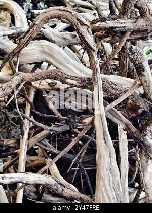 Großer Haufen bestehend aus Ästen und Zweigen am Strand Stockfoto