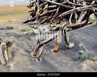 Großer Haufen bestehend aus Ästen und Zweigen am Strand Stockfoto