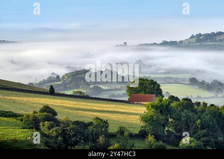 Am frühen Morgen wirbelt Nebel auf den Somerset Levels herum, von den Mendip Hills aus gesehen, Somerset, Großbritannien, mit sonnenbeschienenen Hügeln im Vordergrund Stockfoto