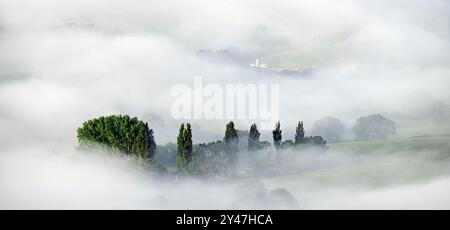 Der Morgennebel wirbelt auf den Somerset Levels, von den Mendip Hills aus gesehen, Somerset, Großbritannien Stockfoto