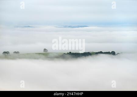 Ein starker Morgennebel auf den Somerset Levels, wie von den Mendip Hills aus gesehen, Somerset, Großbritannien, mit einigen Bäumen, die gerade erst durchbrechen Stockfoto