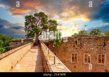 Schloss Auerbach, Bensheim, Deutschland Stockfoto