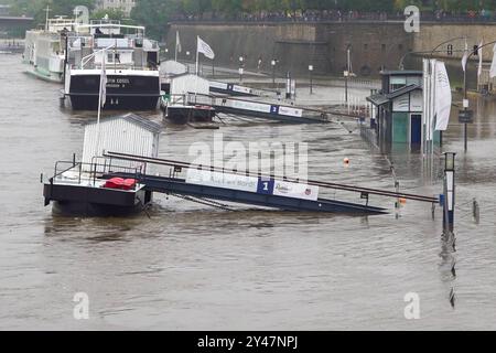 Dresden - Hochwasser-Situation an der Elbe spitzt sich zu: Alarmstufe 3 soll am Dienstag erreicht werden 16.09.2024 gegen 17 Uhr Stadtgebiet Dresden der Hochwasserpegel der Elbe ist in den vergangenen Stunden langsam weiter angestiegen. Am Montagabend lag die Wasserhöhe bei 5,75 Metern und damit noch in der Hochwasser-Alarmstufe 2. Alarmstufe 3 sollte aber schon am Dienstag erreicht werden. Diese gilt ab sechs Metern. An mehreren Stellen ist das Wasser über die Ufer getreten - unter anderem am bekannten Terrassenufer in der Dresdner Altstadt. Stadt und Feuerwehr in Dresden sind mit dem Verla Stockfoto