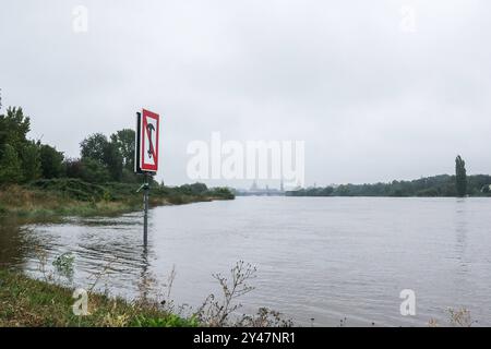 Hochwasser-Situation an der Elbe spitzt sich zu: Alarmstufe 3 soll am Dienstag erreicht werden 16.09.2024 gegen 17 Uhr Stadtgebiet Dresden der Hochwasserpegel der Elbe ist in den vergangenen Stunden langsam weiter angestiegen. Am Montagabend lag die Wasserhöhe bei 5,75 Metern und damit noch in der Hochwasser-Alarmstufe 2. Alarmstufe 3 sollte aber schon am Dienstag erreicht werden. Diese gilt ab sechs Metern. An mehreren Stellen ist das Wasser über die Ufer getreten - unter anderem am bekannten Terrassenufer in der Dresdner Altstadt. Stadt und Feuerwehr in Dresden sind mit dem Verlauf der vor Stockfoto