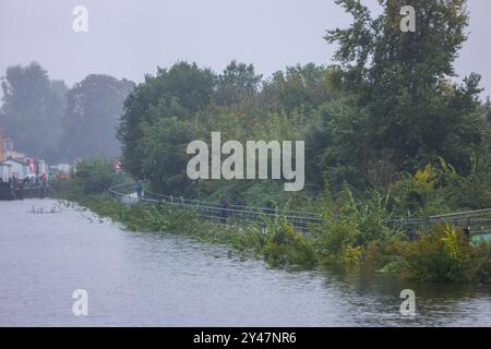 Hochwasser-Situation an der Elbe spitzt sich zu: Alarmstufe 3 soll am Dienstag erreicht werden 16.09.2024 gegen 17 Uhr Stadtgebiet Dresden der Hochwasserpegel der Elbe ist in den vergangenen Stunden langsam weiter angestiegen. Am Montagabend lag die Wasserhöhe bei 5,75 Metern und damit noch in der Hochwasser-Alarmstufe 2. Alarmstufe 3 sollte aber schon am Dienstag erreicht werden. Diese gilt ab sechs Metern. An mehreren Stellen ist das Wasser über die Ufer getreten - unter anderem am bekannten Terrassenufer in der Dresdner Altstadt. Stadt und Feuerwehr in Dresden sind mit dem Verlauf der vor Stockfoto