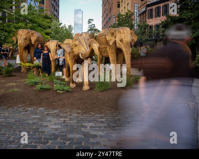 New York, New York, USA. September 2024. Obwohl Sabyasachi Mukherjee für die Modewoche geschaffen hat, ist dies pünktlich für den Klimagipfel, der in NYC beginnt. Hunderte von Menschen versammelten sich in der Nähe des Meatpacking District in New York City, um ein spektakuläres Gehör von Elefanten zu bewundern. Aus Indien mit Liebe: 100 prächtige Elefantenskulpturen aus lantana Camara, einem der weltweit besten invasiven Unkräuter. Die von Ruth Ganesh vorgestellte Kunstausstellung „DIE GROSSE ELEFANTENWANDERUNG“ wandert durch die Vereinigten Staaten und wurde geschaffen, um uns alle zu inspirieren, Raum zwischen Huma zu teilen Stockfoto