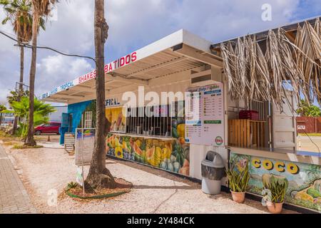 Wunderschöner Blick auf tropischen Saft- und Smoothie-Stand mit farbenfrohen Wandgemälden und Menü in Curacao, umgeben von Palmen unter bewölktem Himmel. Stockfoto