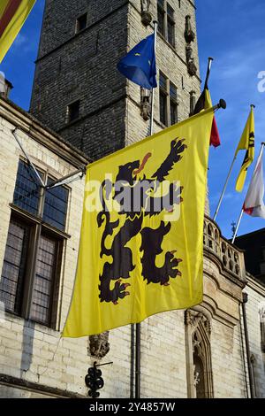 Flagge von Flandern im Spiegelbild Stockfoto