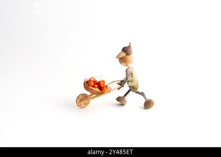 Eine Figur aus Eicheln, die eine Schubkarre voller Beeren drückt, handgefertigte Konzeptkunst, DIY-Herbstbastelidee für Kinder, lustige Aktivitäten, kreative Natur Stockfoto