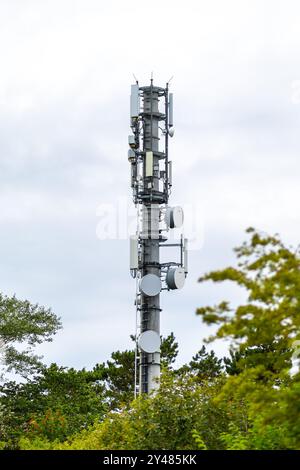 Der hohe Kommunikationsturm steht unter grünem Laub und verfügt über zahlreiche Antennen für die Signalübertragung, alle unter grauem Himmel. Stockfoto