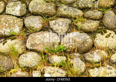 Ein Steinweg wird durch Felsen unterschiedlicher Größe hervorgehoben, die mit Moos und Gras bedeckt sind. Die natürliche Umgebung spiegelt eine ruhige Atmosphäre am Tag wider Stockfoto