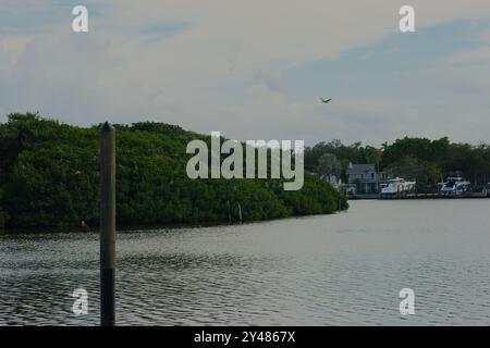 Weite Aussicht über das Wasser zum Coffee Pot Bayou Vogelschutzgebiet eine kleine Insel voller nistender Pelikane, Reiher, anderer Vögel und grüner Mangrovenbäume. Stockfoto