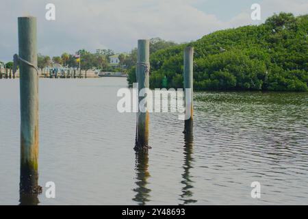 Weite Aussicht über das Wasser zum Coffee Pot Bayou Vogelschutzgebiet eine kleine Insel voller nistender Pelikane, Reiher, anderer Vögel und grüner Mangrovenbäume. Stockfoto